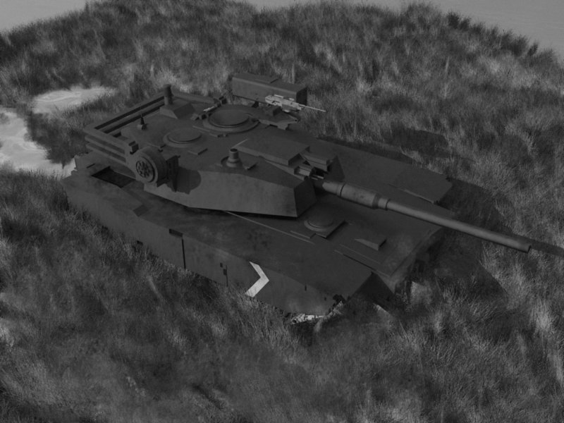 Muddy, black & white