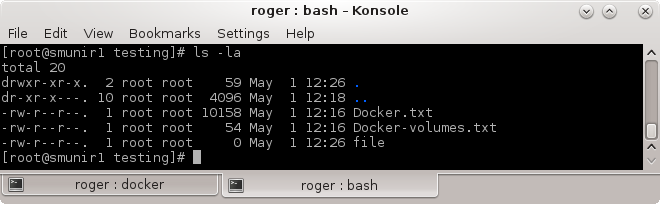 Directory contents on the host
