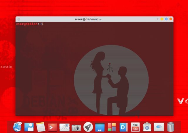 Transparent terminal