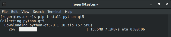 PIP downloading package