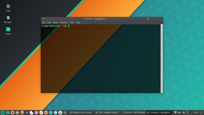Transparent terminal