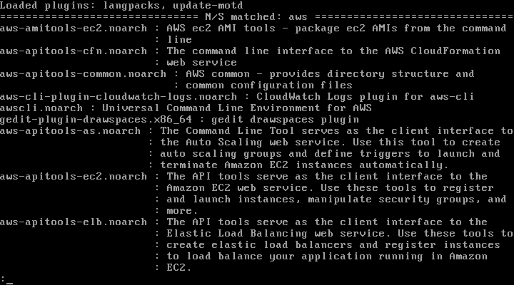 Install various AWS apitools