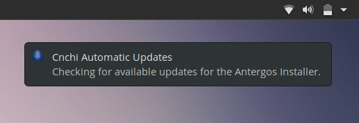 Installer updates check in the live session