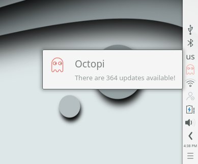 Octopi, in live session