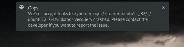 Steam crash
