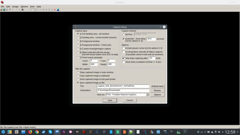 IrfanView, timed screenshots