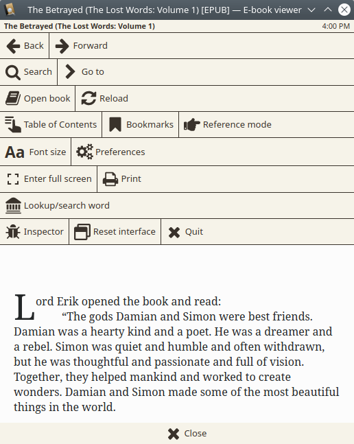 Ebook viewer, controls