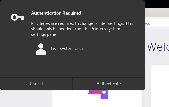 Print overlay window