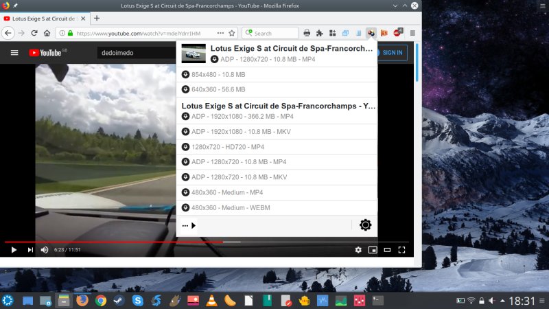 Video DownloadHelper