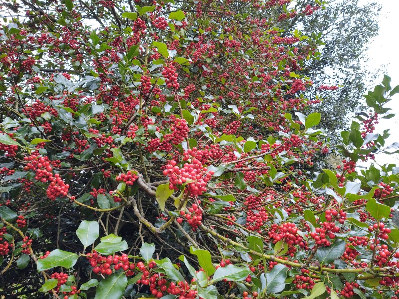 One Zoom camera shot 1