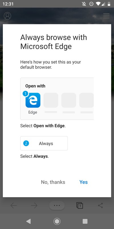 Default browser prompt