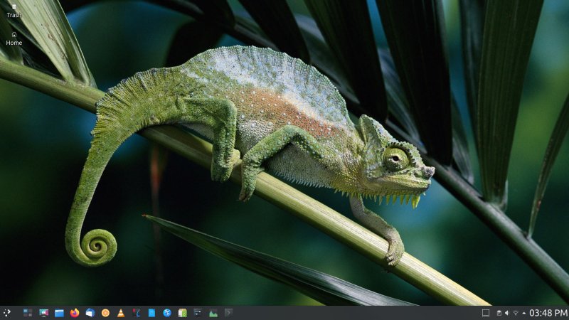 Trash and Home icons