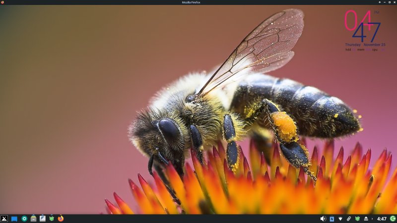 Firefox not starting