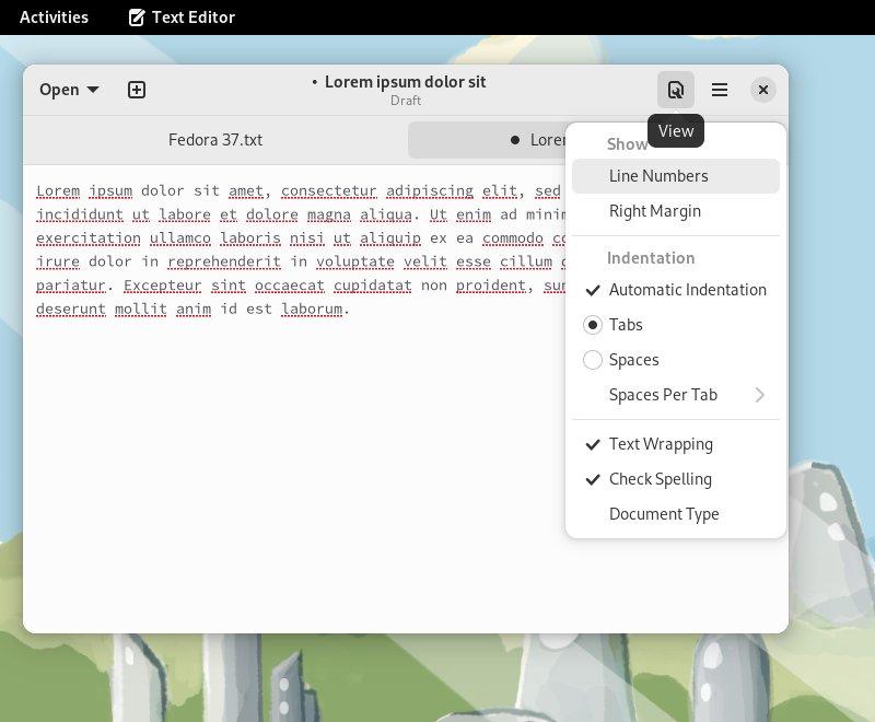 Text Editor, view