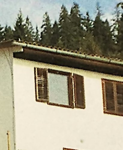 Default Upscayl result