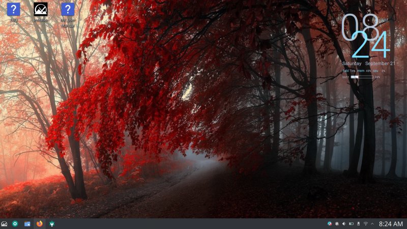 Before installation, new wallpaper