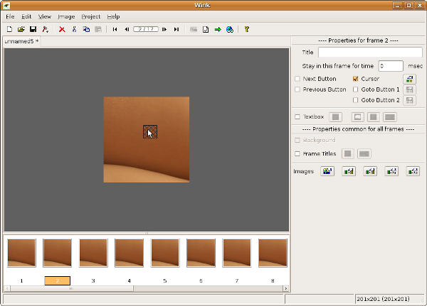 Wink 5 project window