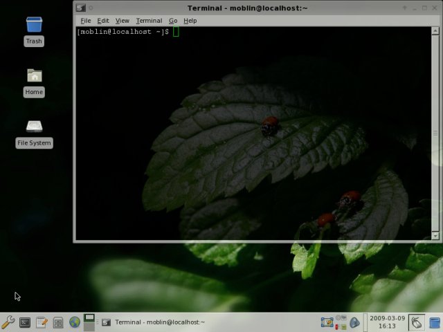 Transparent terminal