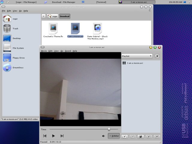 Dreamlinux avi works