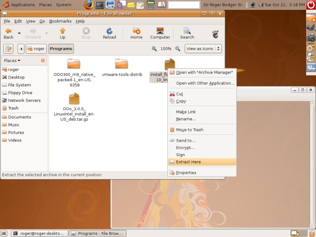 Flash extract archive