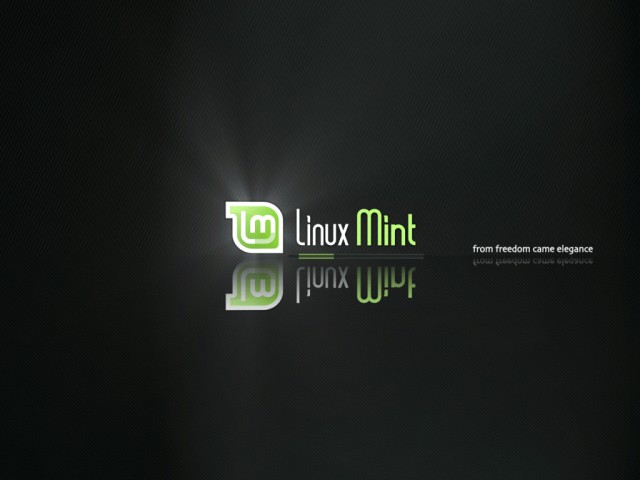 Linux Mint booting first time