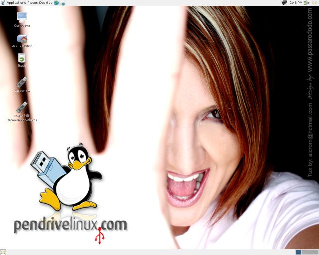 Pendrivelinux desktop