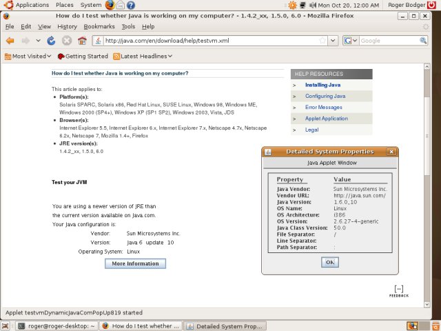 Ubuntu 8.10 java