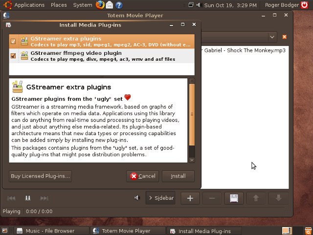 Ubuntu 8.10 mp3 codecs 2