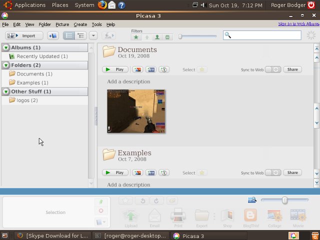 Ubuntu 8.10 Picasa 3