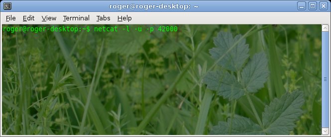 Netcat idle