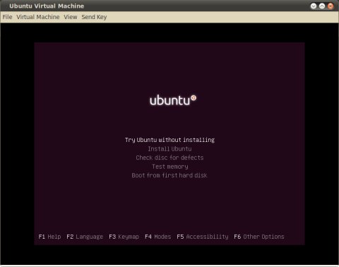 Ubuntu booting