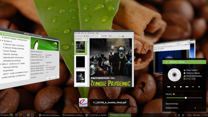 Linux Mint with Cinnamon