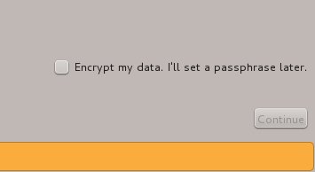 Encrypt option, Continue button