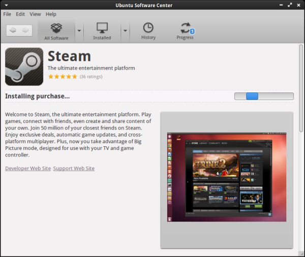 Install Steam