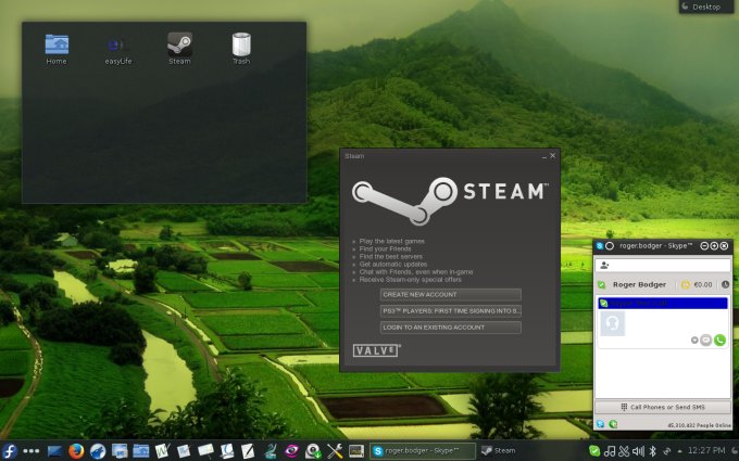 Skype & Steam