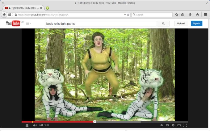 Youtube, Flash in Firefox