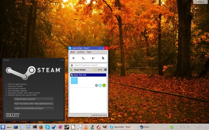Steam & Skype