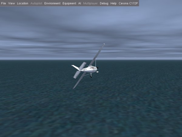 Trying to fly and failing