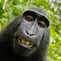 Clueless manager icon