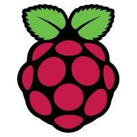 Raspbeery Pi icon