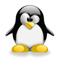 MacOS & Linux virtual machine keyboard remap