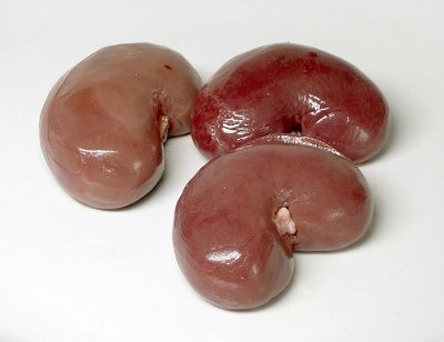 Kidneys
