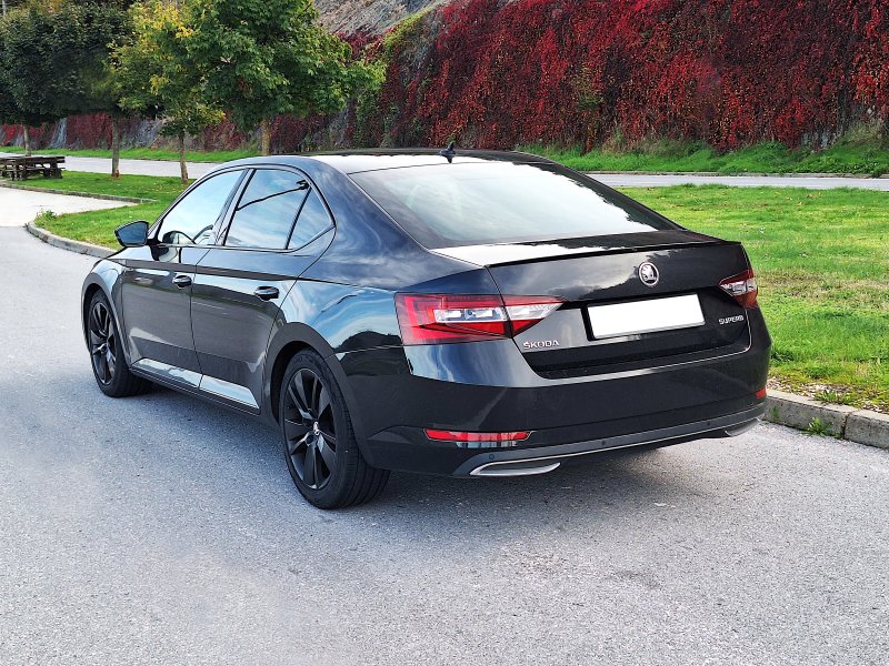 Rear view, high angle