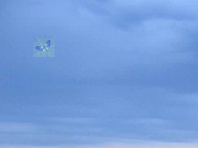Sky with the butterfly pasted