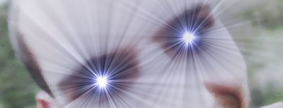 Hardon particles, firing